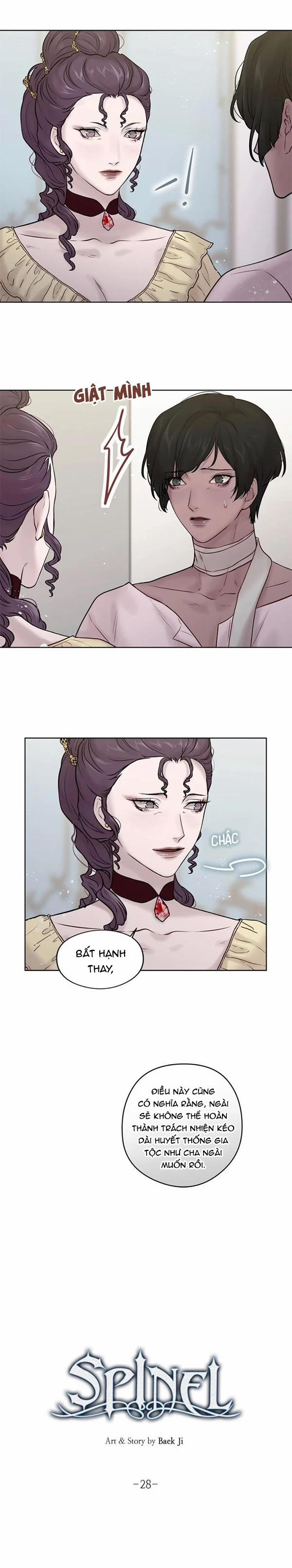 Spinel 28 trang 6
