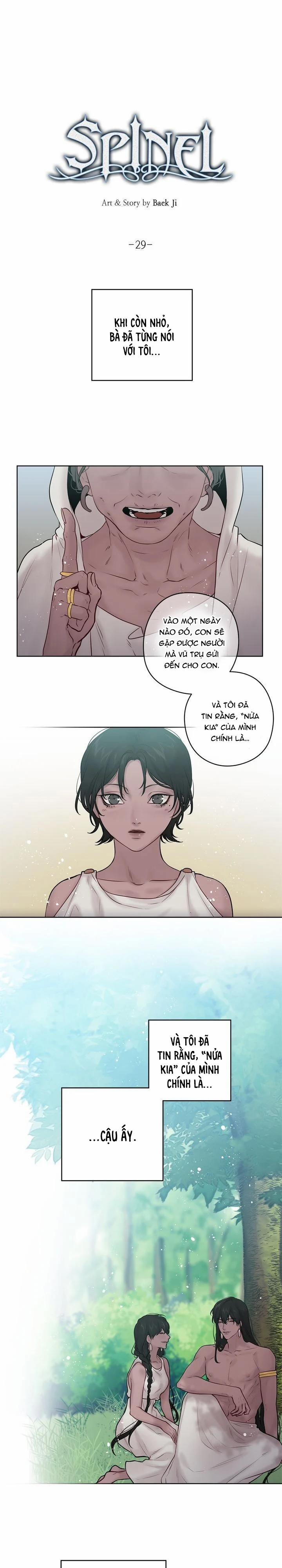 Spinel 29 trang 1