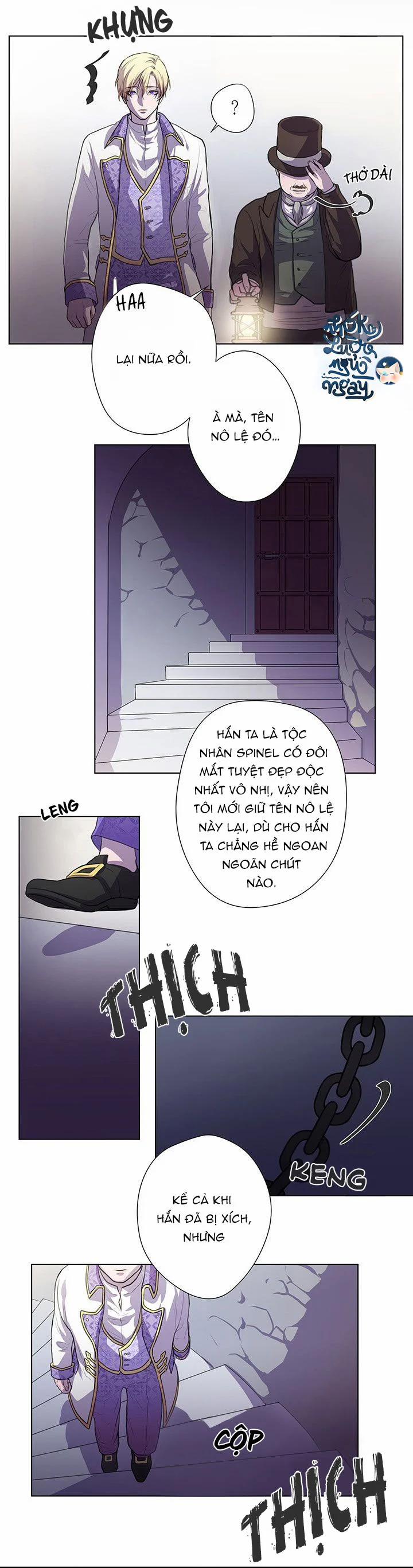 Spinel 3 trang 25