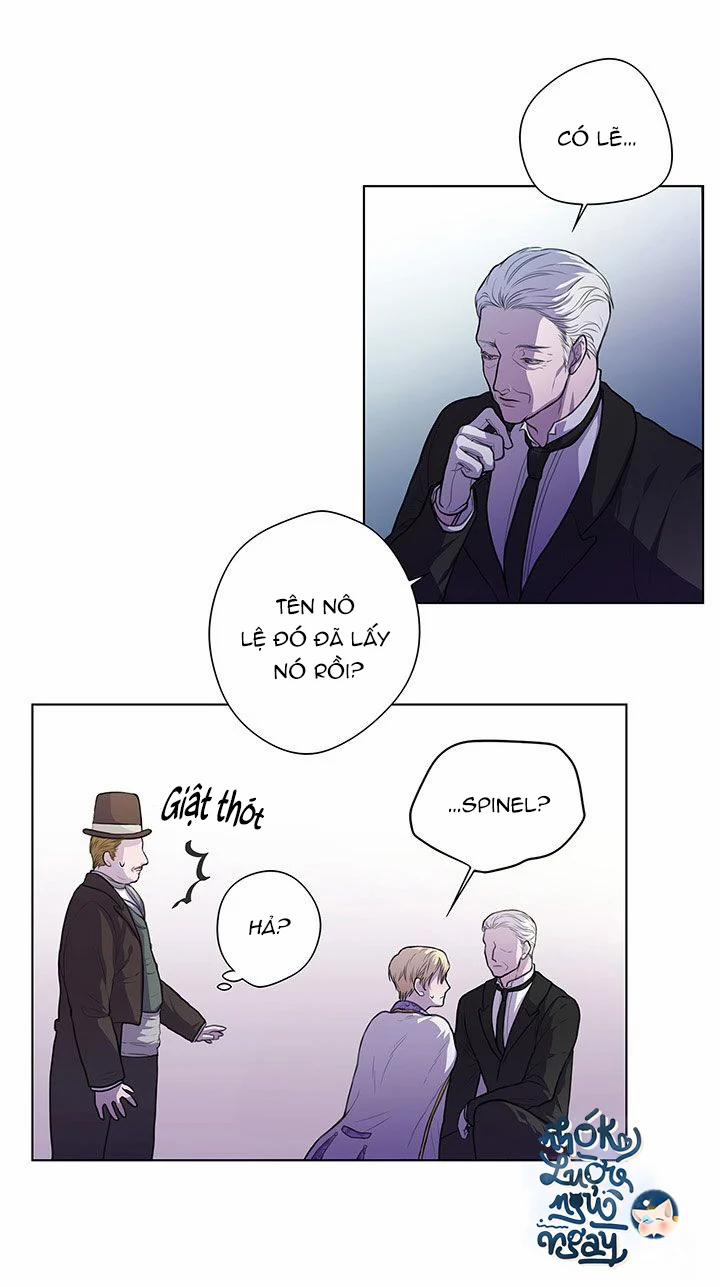 Spinel 3 trang 3