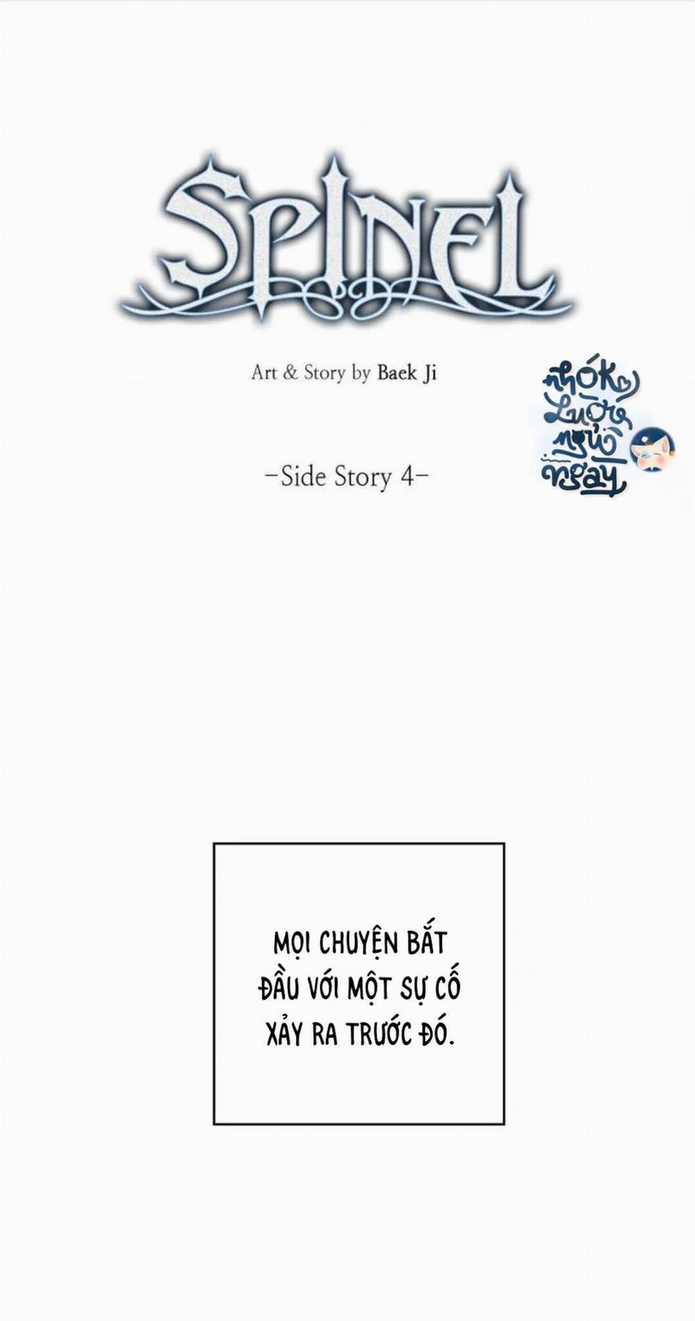 Spinel 34 trang 6