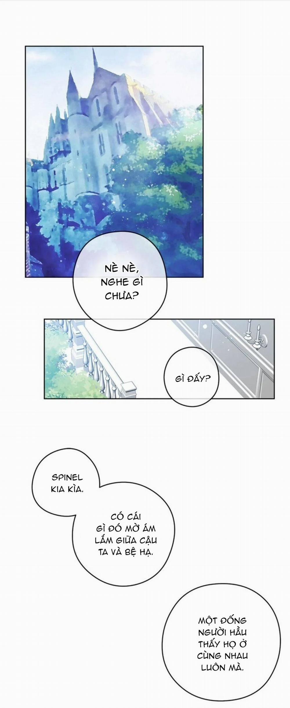 Spinel 34 trang 7