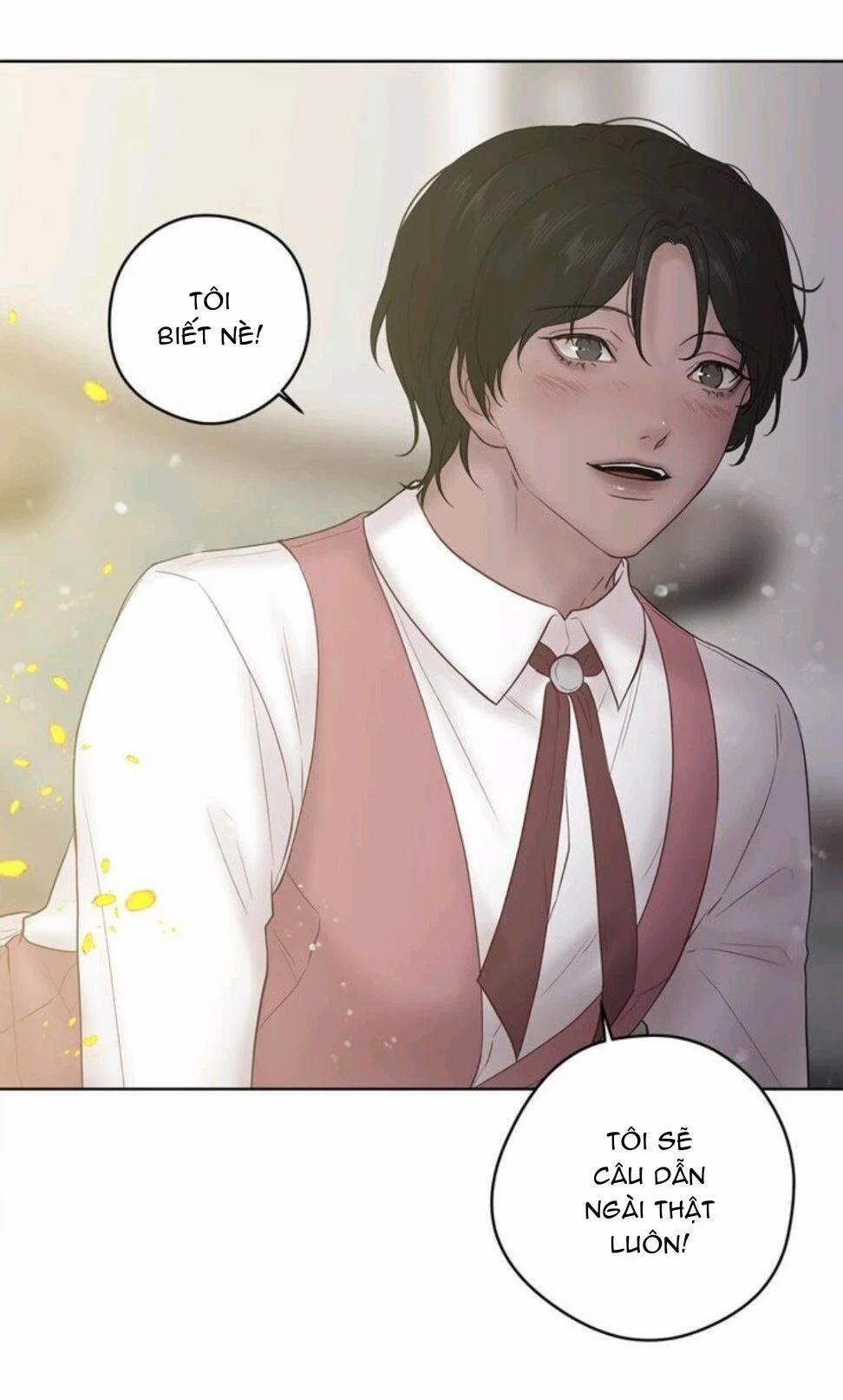 Spinel 35.5 trang 11