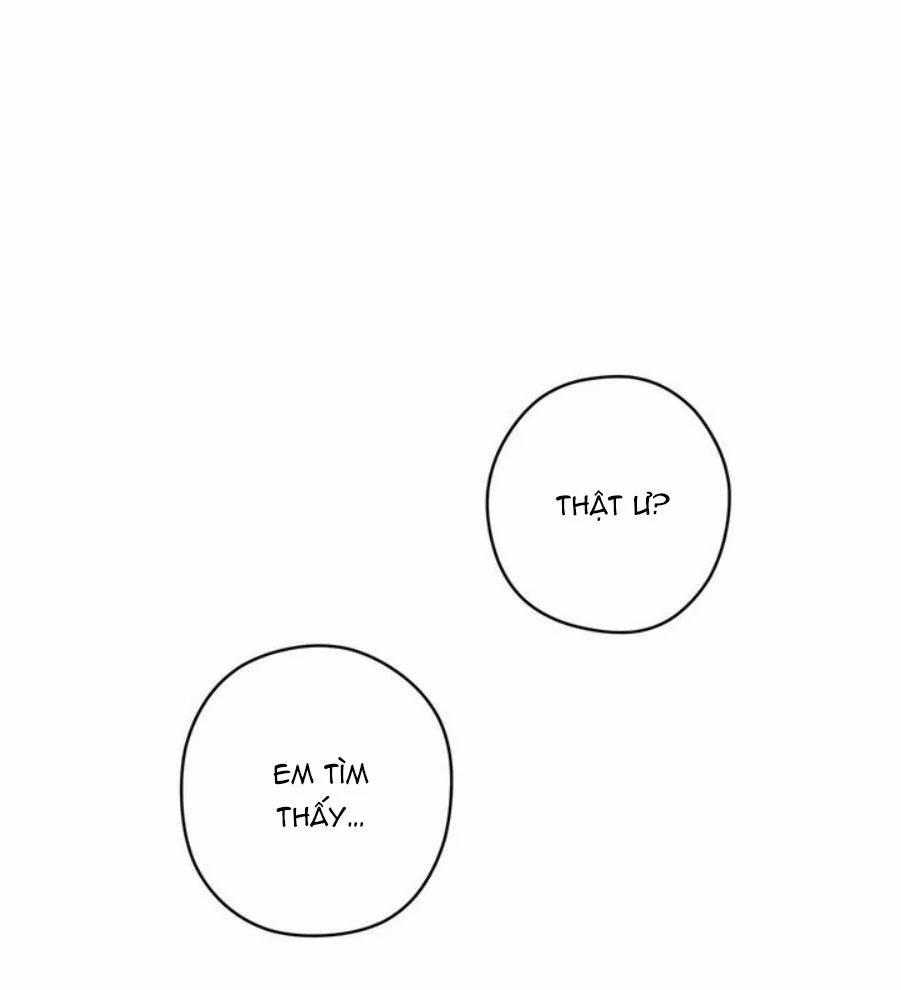 Spinel 39.5 trang 10