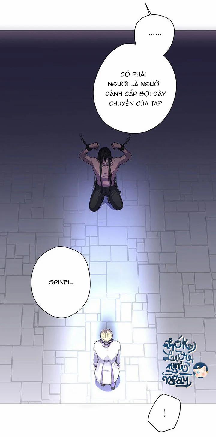 Spinel 4 trang 29