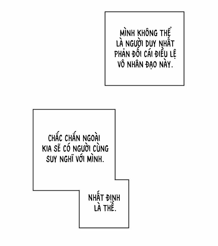 Spinel 40.5 trang 16