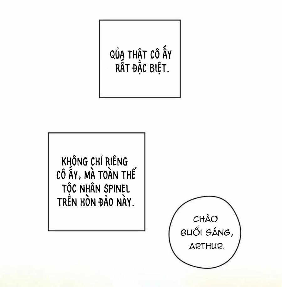 Spinel 40 trang 16