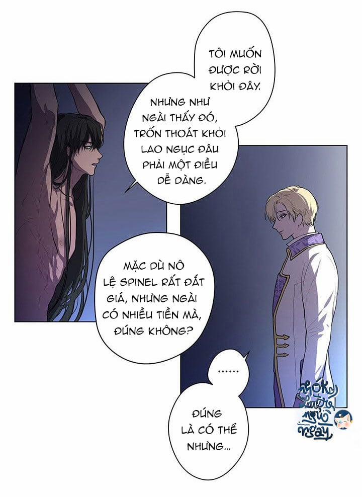 Spinel 5 trang 22