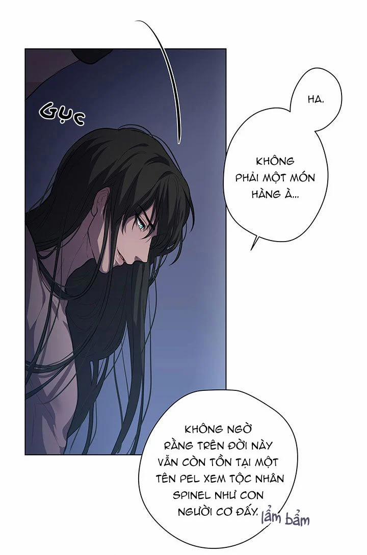 Spinel 5 trang 25