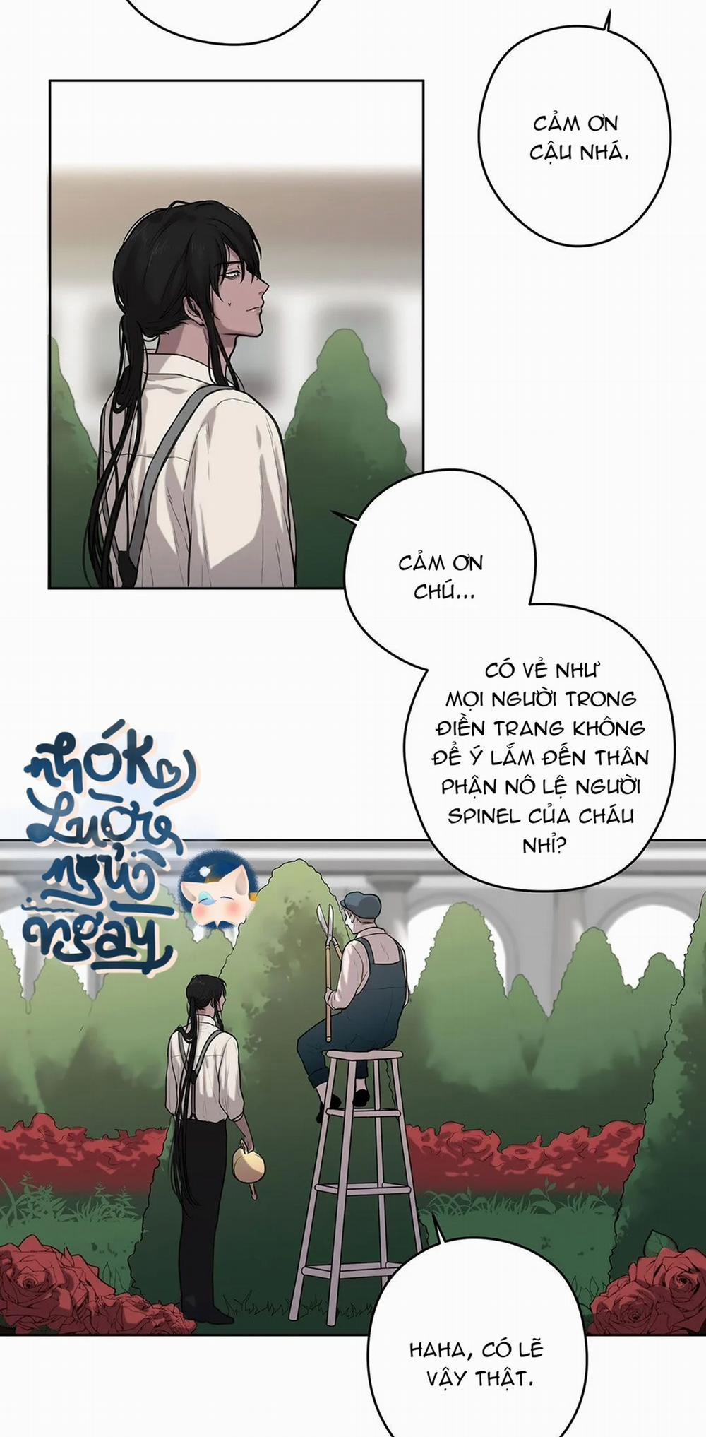 Spinel 7 trang 29