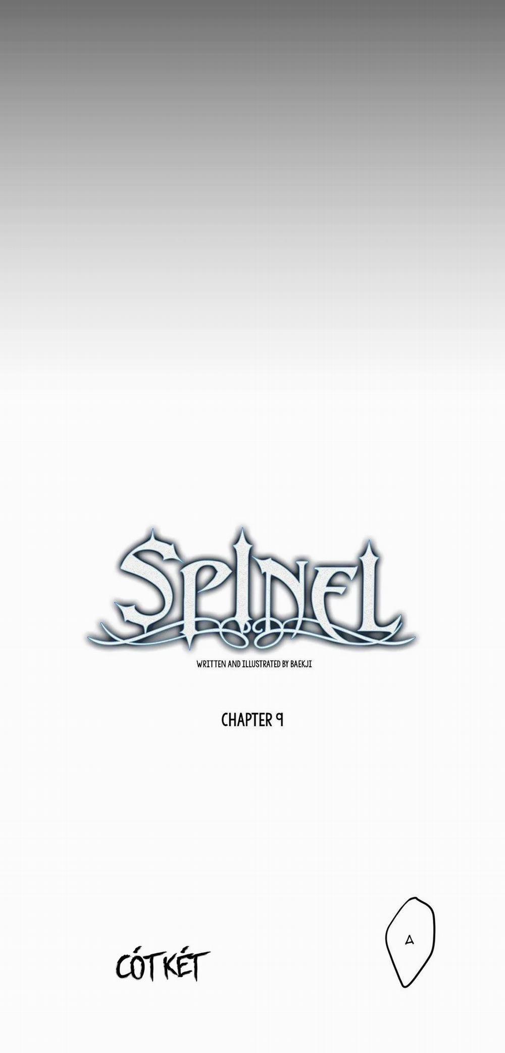 Spinel 9 trang 6