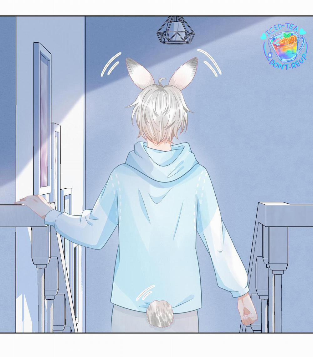 [Ss2] Một Ngụm Ăn Cả Thỏ Con 0 trang 41