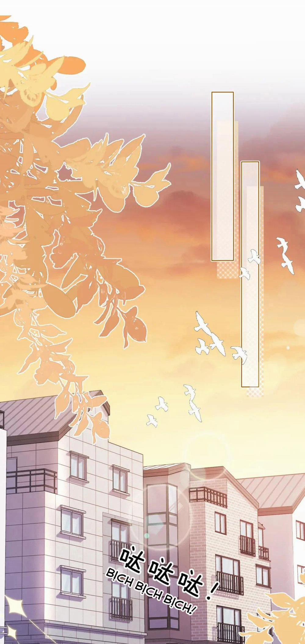 [Ss2] Một Ngụm Ăn Cả Thỏ Con 40 trang 0