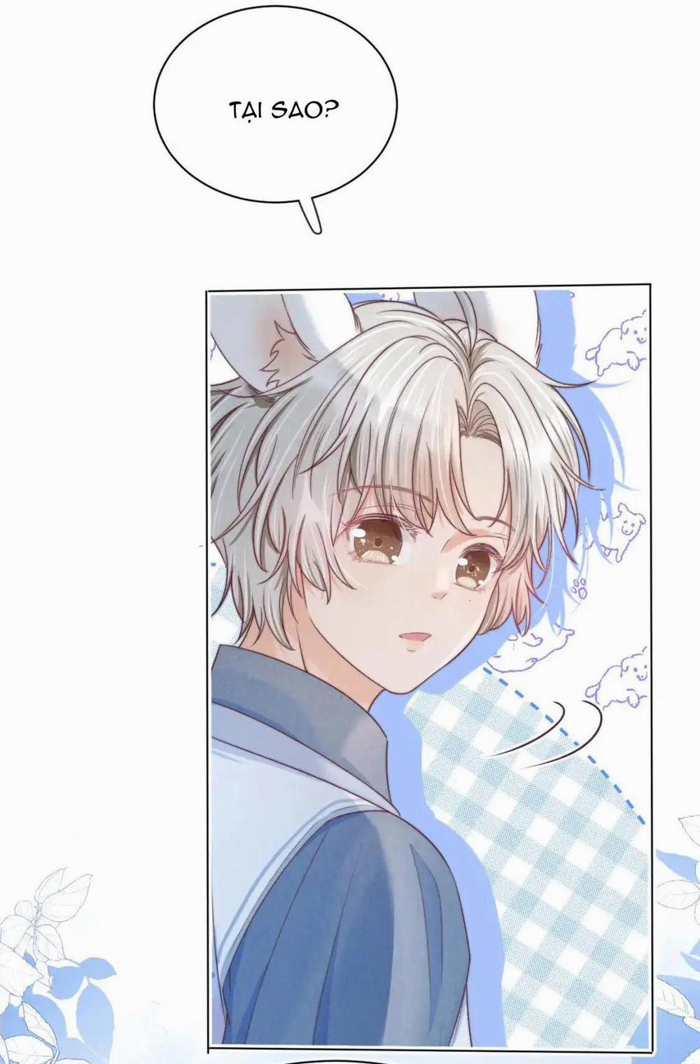 [Ss2] Một Ngụm Ăn Cả Thỏ Con 43 trang 17