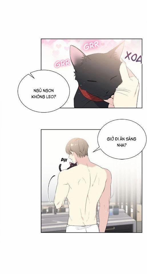 Starlight Scandal. 1 trang 7