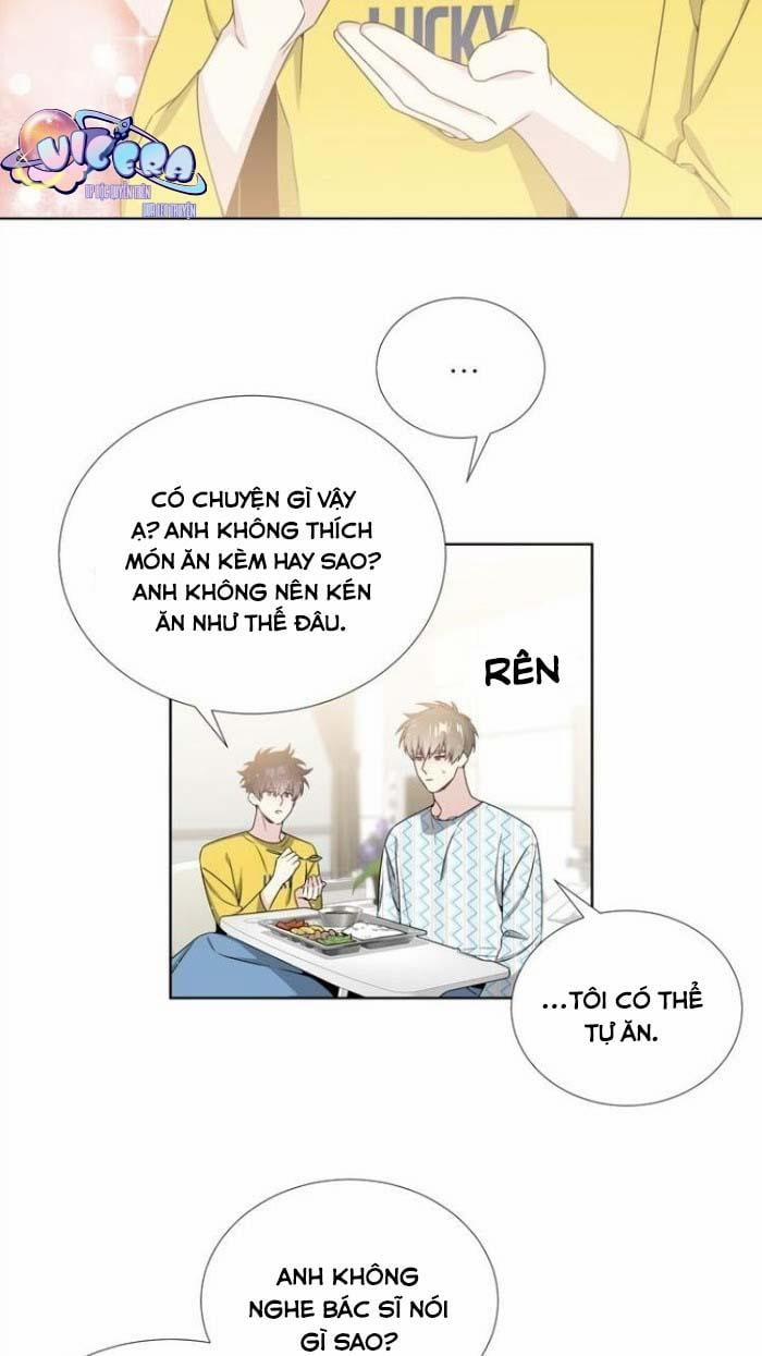 Starlight Scandal. 17 trang 1