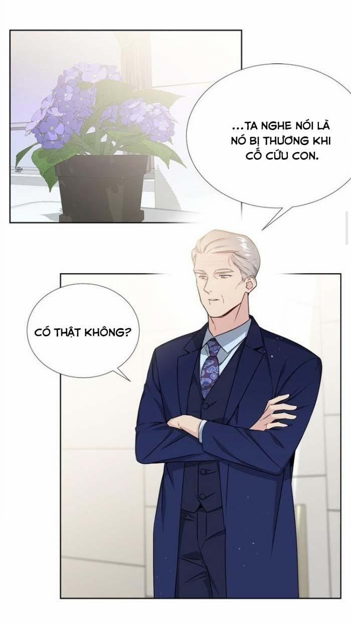 Starlight Scandal. 17 trang 14