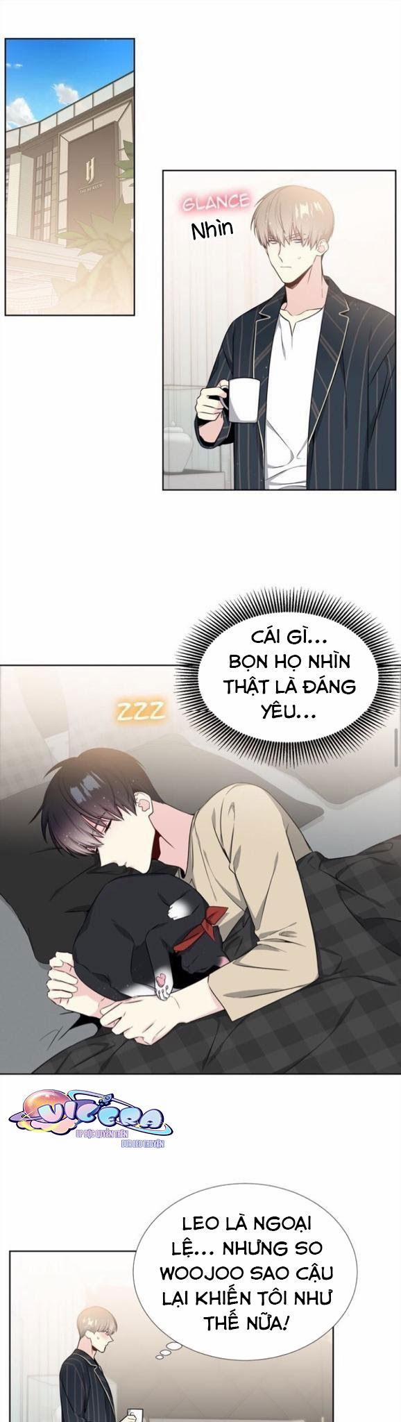 Starlight Scandal. 20 trang 0