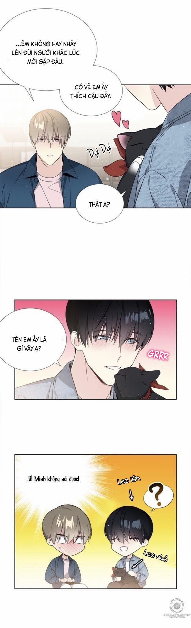 Starlight Scandal. 5 trang 17