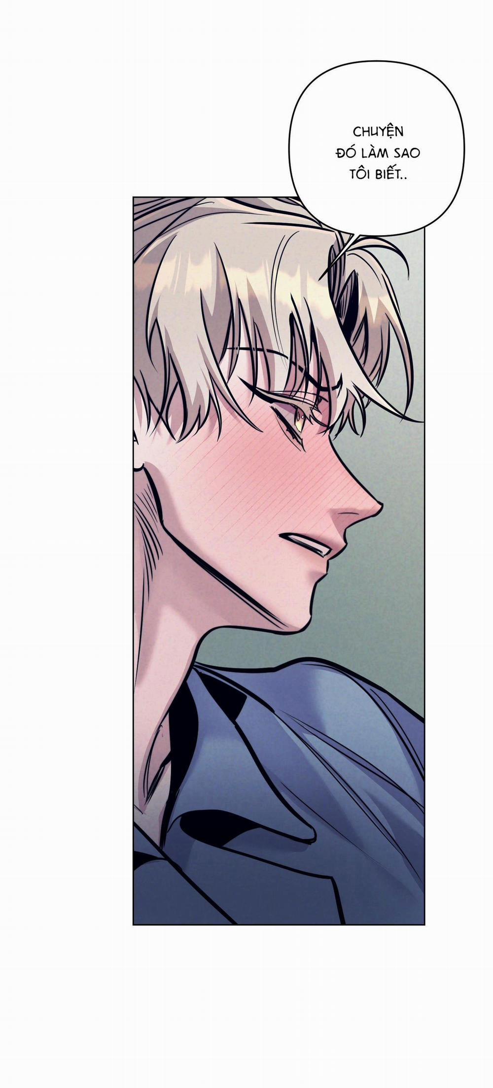 Stigma 15 H+ trang 8