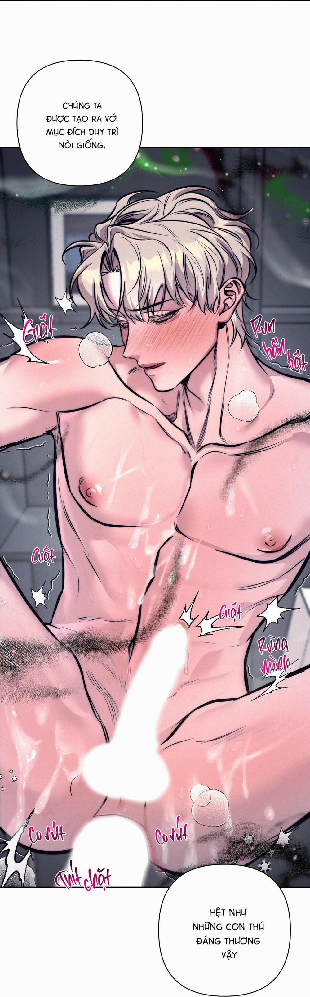 Stigma 6 trang 19