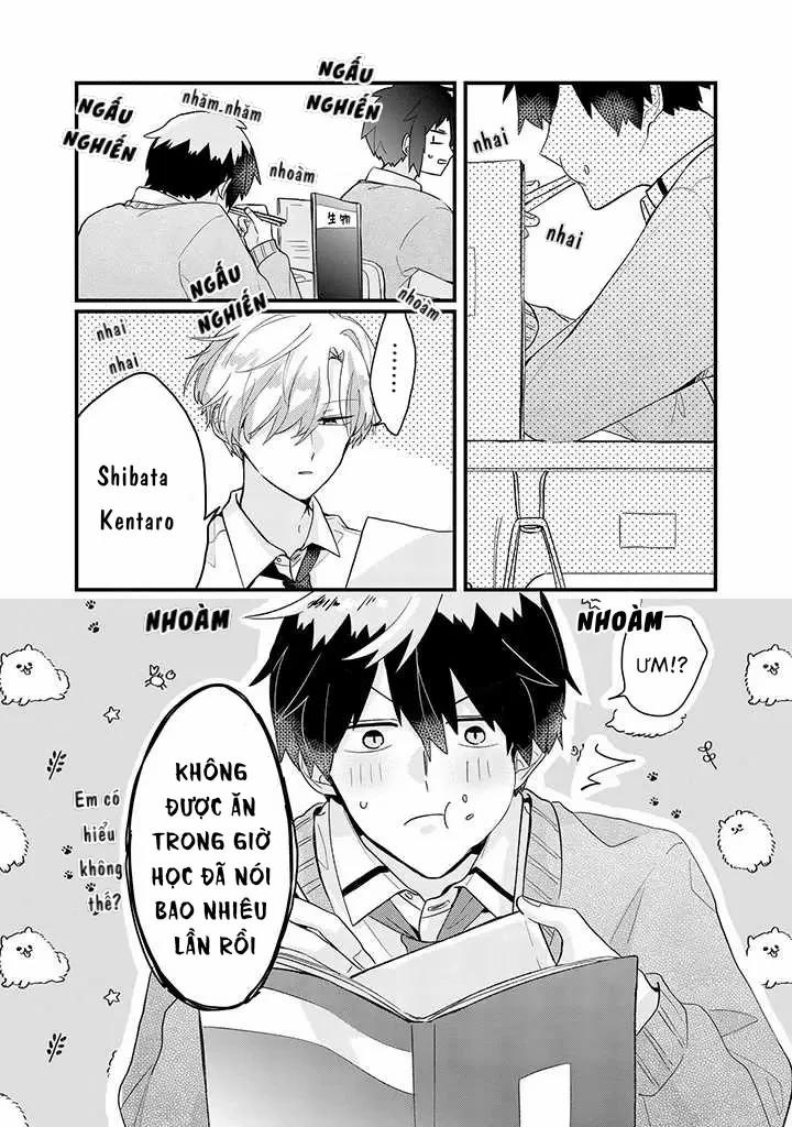 Sự Cám Dỗ Của Tuổi Dậy Thì 1 trang 1