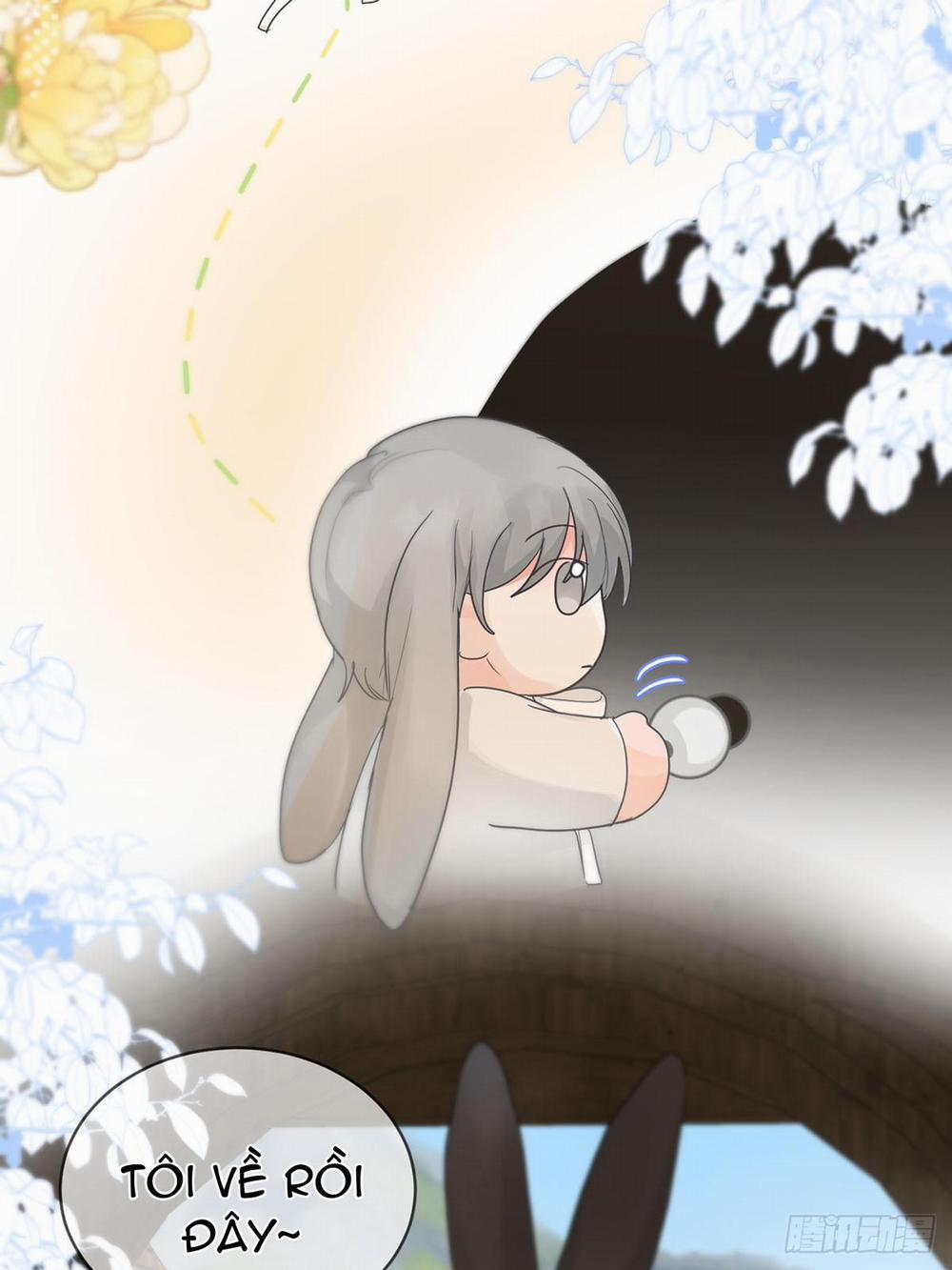 Sự Chiếu Cố Của Thần Linh 23.1 trang 6