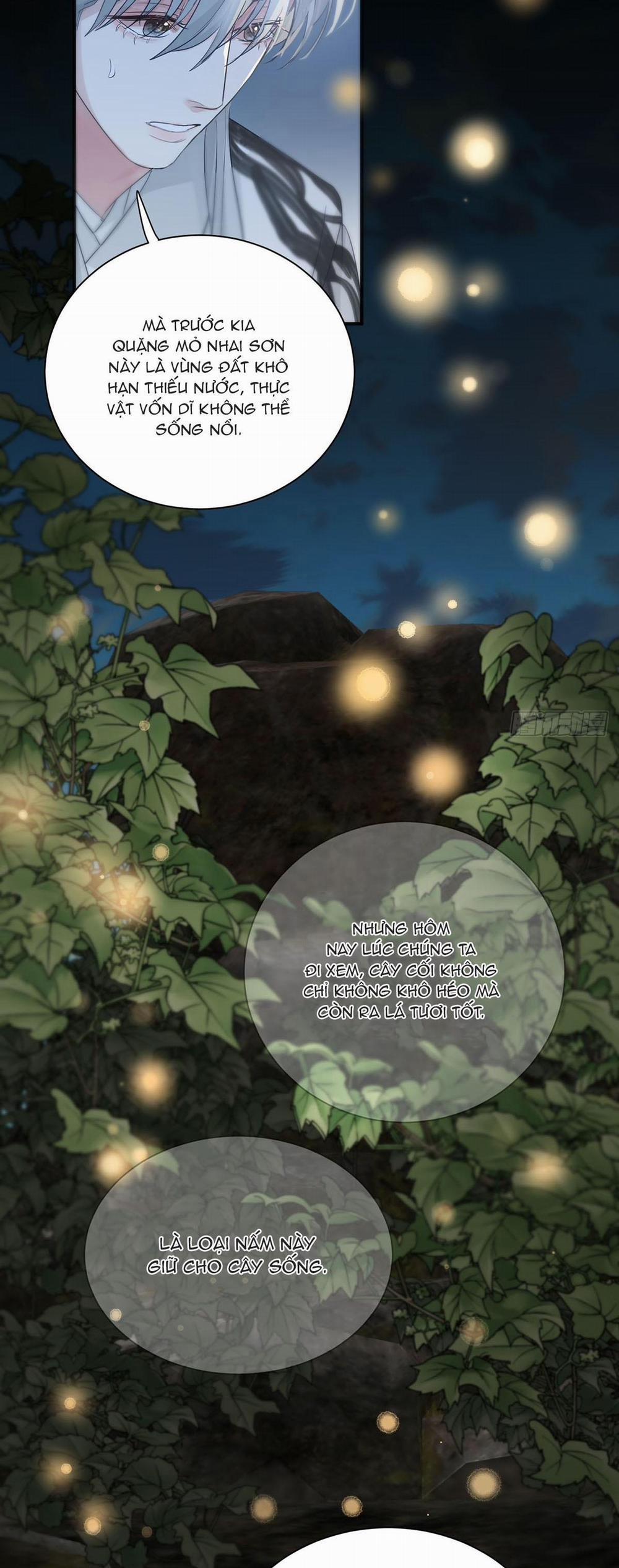 Sự Chiếu Cố Của Thần Linh 24 trang 6