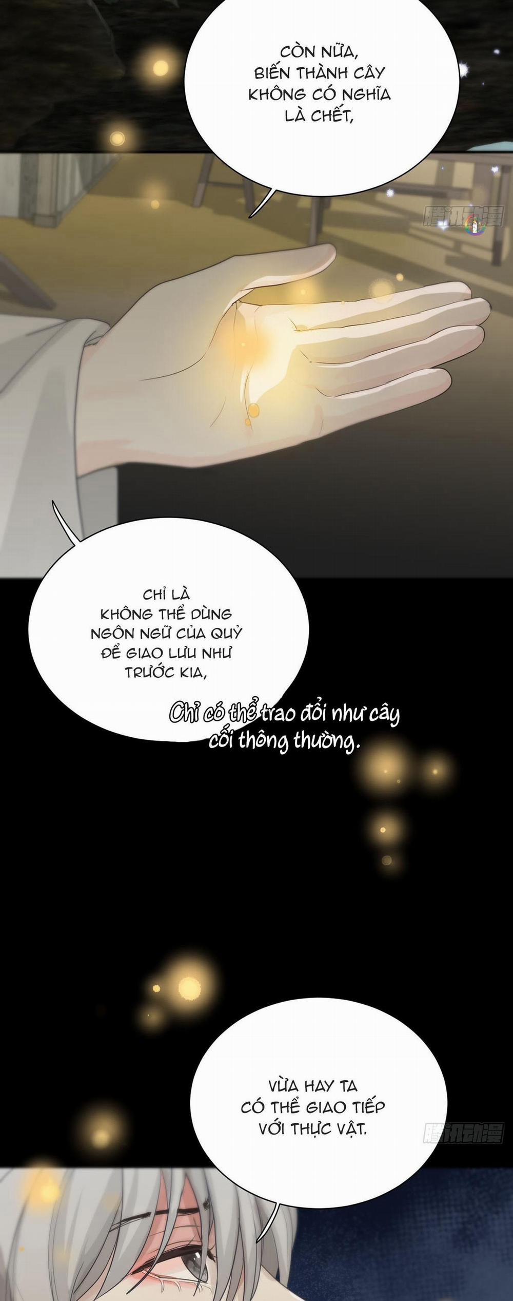 Sự Chiếu Cố Của Thần Linh 24 trang 7