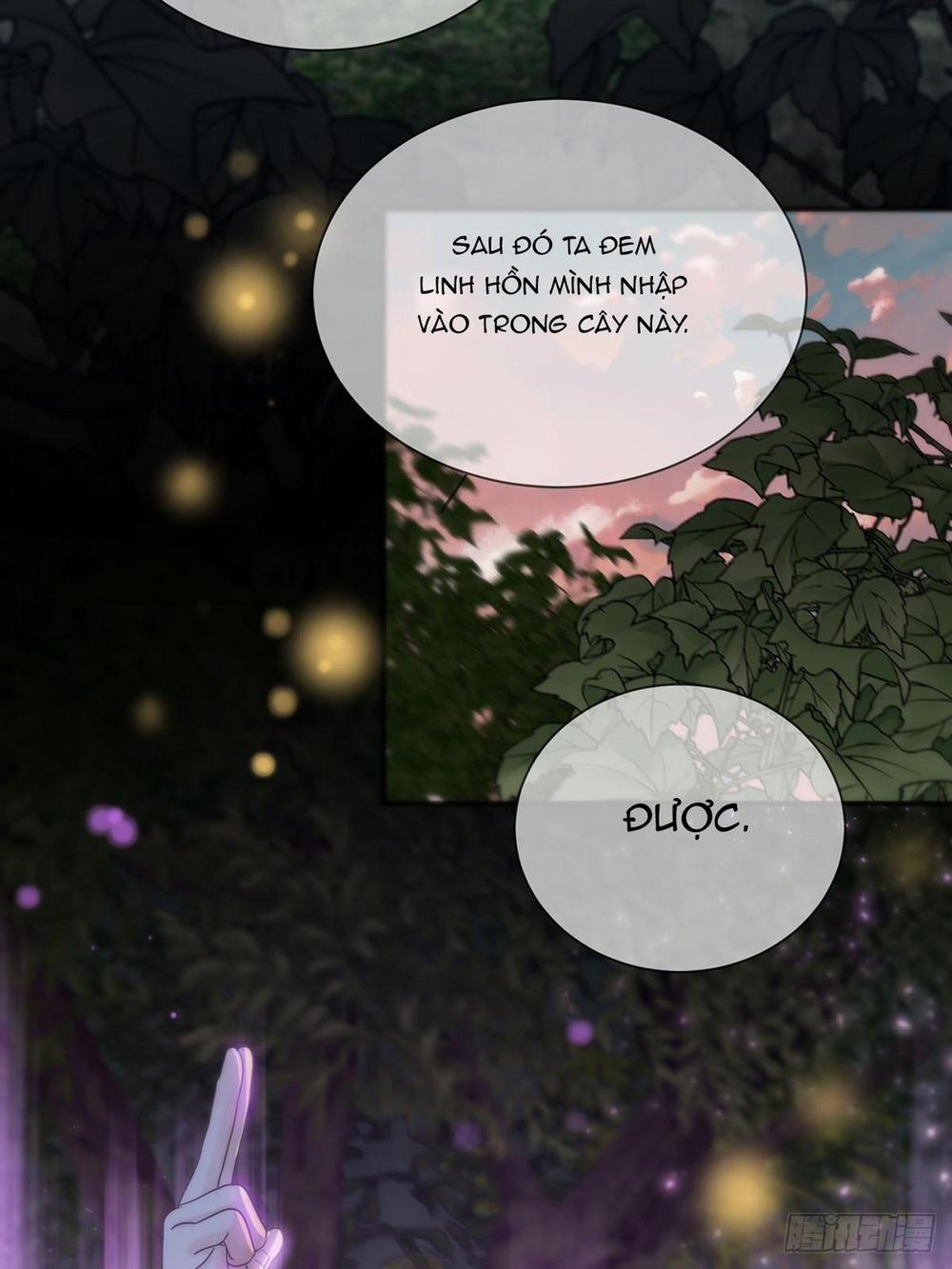 Sự Chiếu Cố Của Thần Linh 25 trang 28