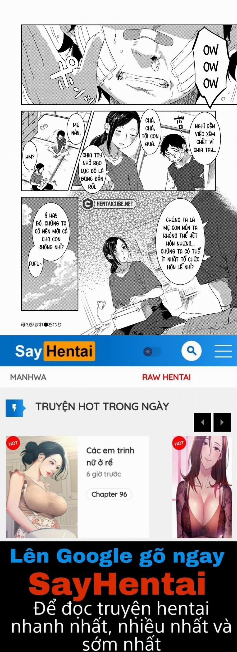 Sự chín muồi của mẹ Oneshot trang 27