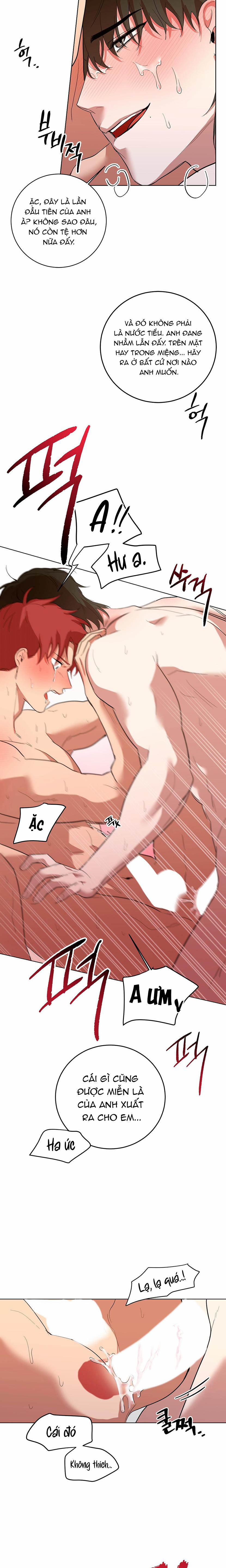 Sự Hiểu Lầm Đáng Yêu 5 trang 11