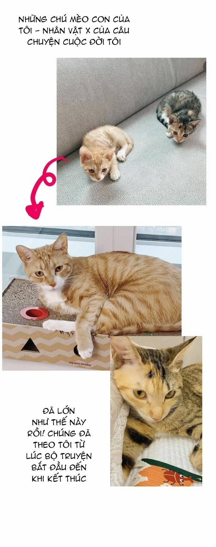 Sự Lãng Mạn Còn Tồn Tại 102 trang 19