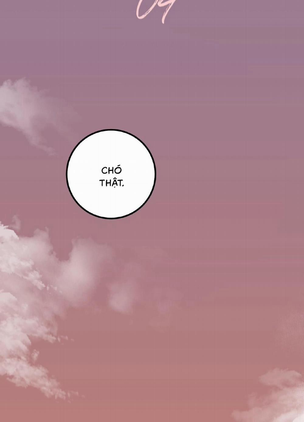 Sự lệ thuộc phức tạp 4 trang 16