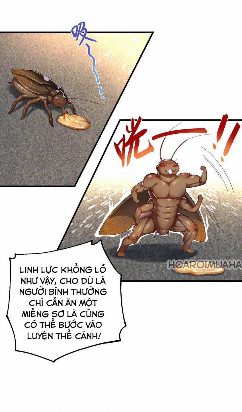 Sư Muội, Sư Huynh Muốn Bế Quan 6 trang 24