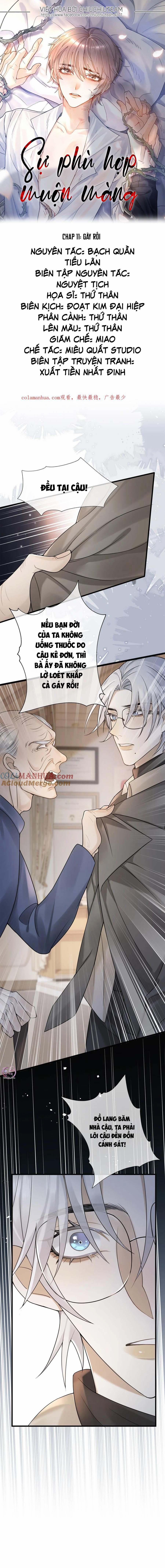 Sự Phù Hợp Muộn Màng 11 trang 0