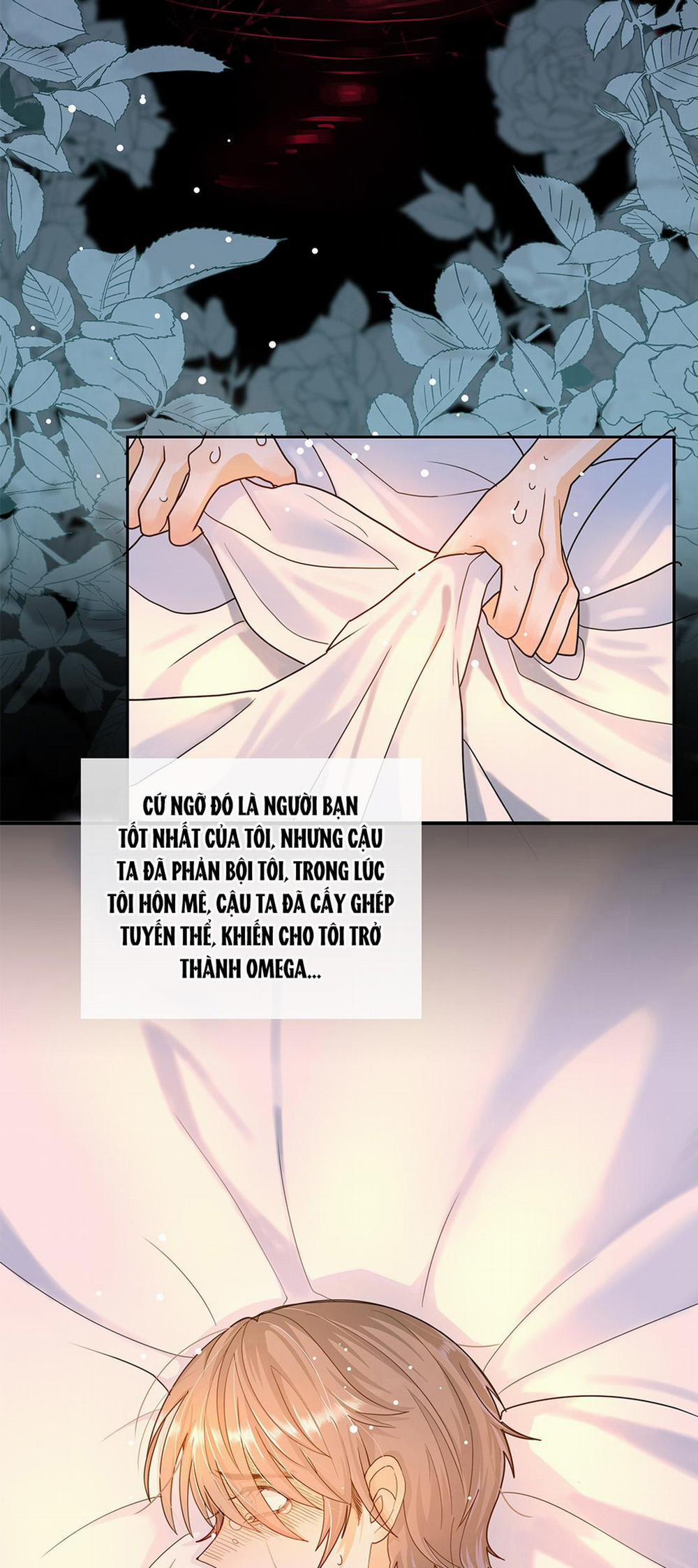 Sự Phù Hợp Muộn Màng 3 trang 17