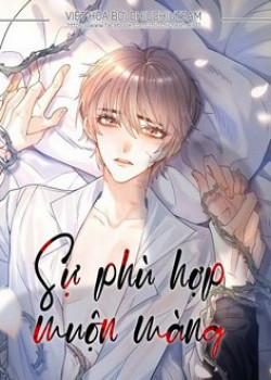 Đọc truyện tranh Sự Phù Hợp Muộn Màng