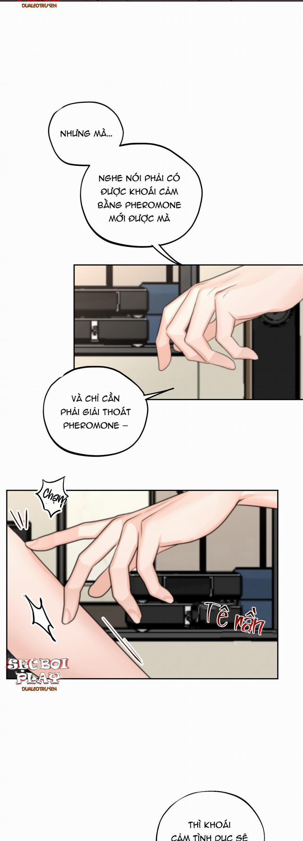 Sự Phụ Thuộc Giữa Củi Và Lửa 6 trang 13