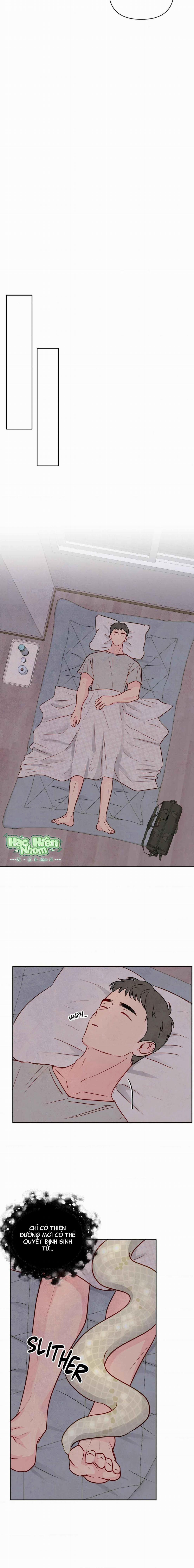 Sự Quyến Rũ Của Thần Rắn 1 trang 12