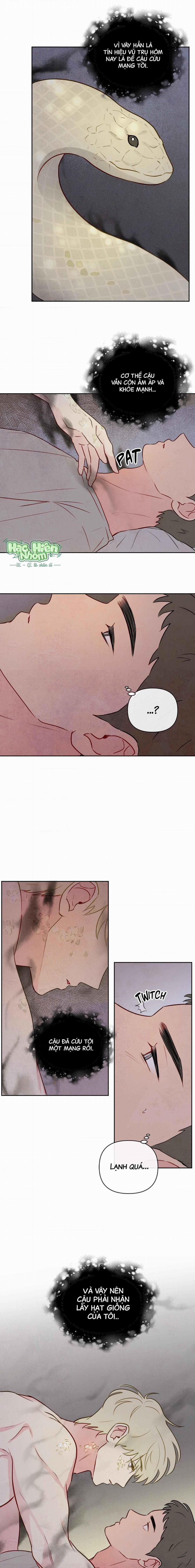 Sự Quyến Rũ Của Thần Rắn 1 trang 13