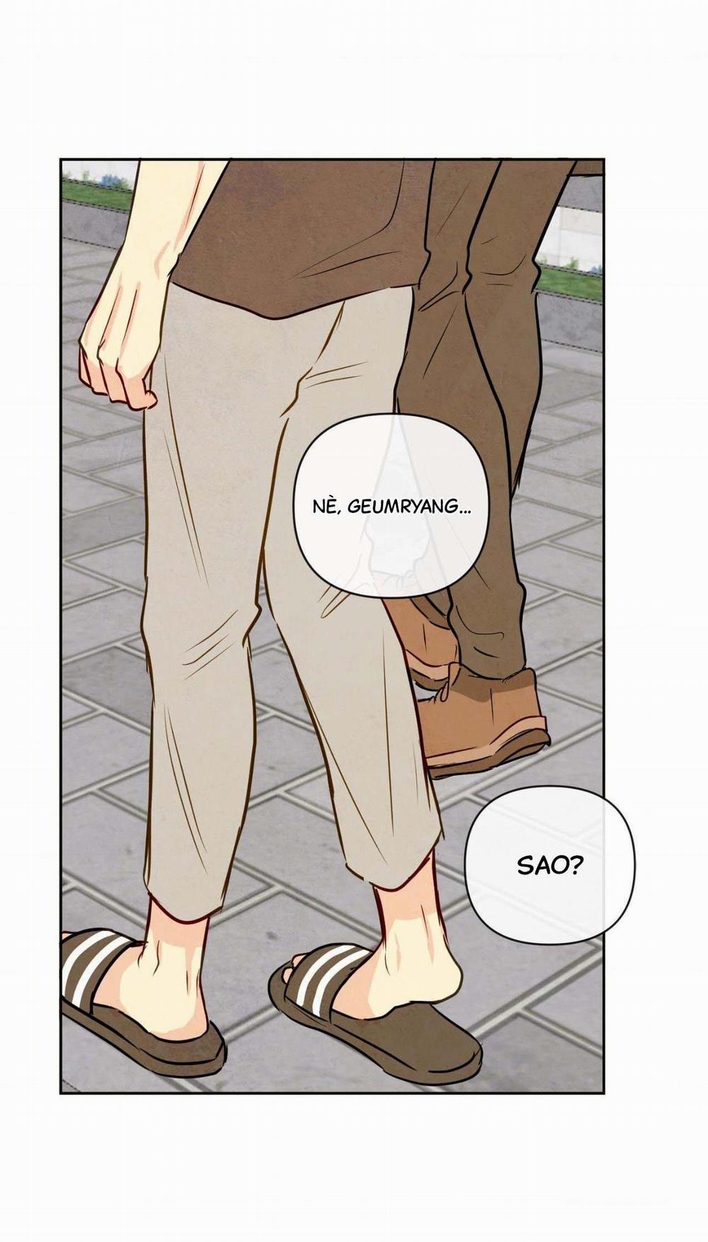 Sự Quyến Rũ Của Thần Rắn 11 hachiennhom trang 47