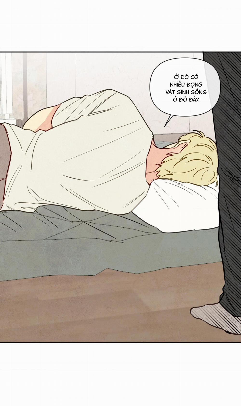 Sự Quyến Rũ Của Thần Rắn 15 hachiennhom trang 13