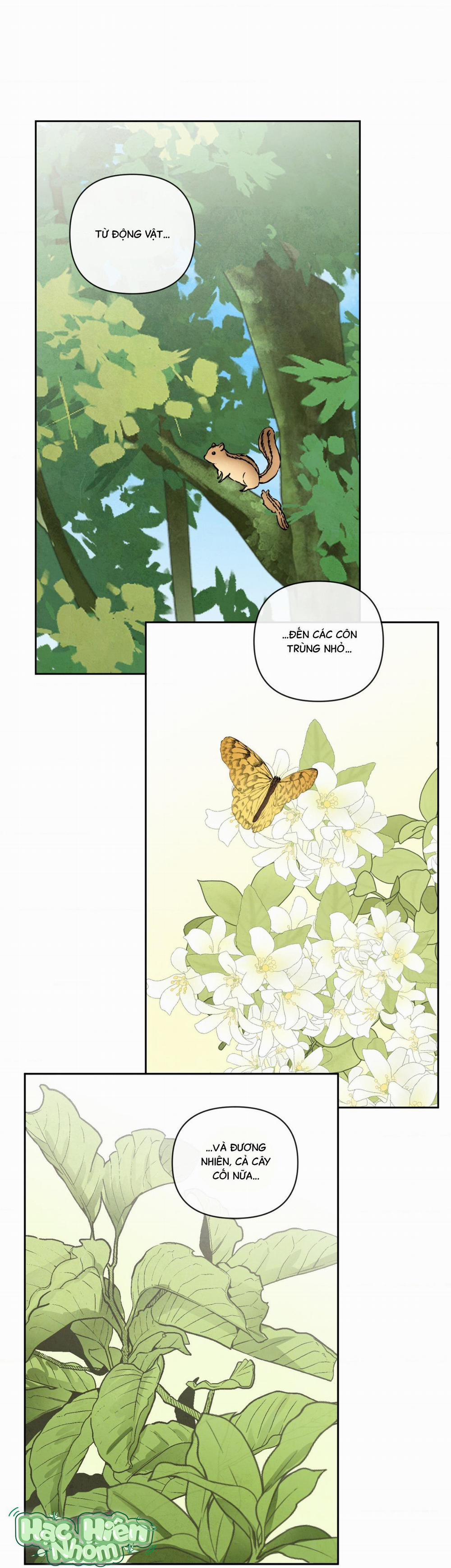 Sự Quyến Rũ Của Thần Rắn 15 hachiennhom trang 14