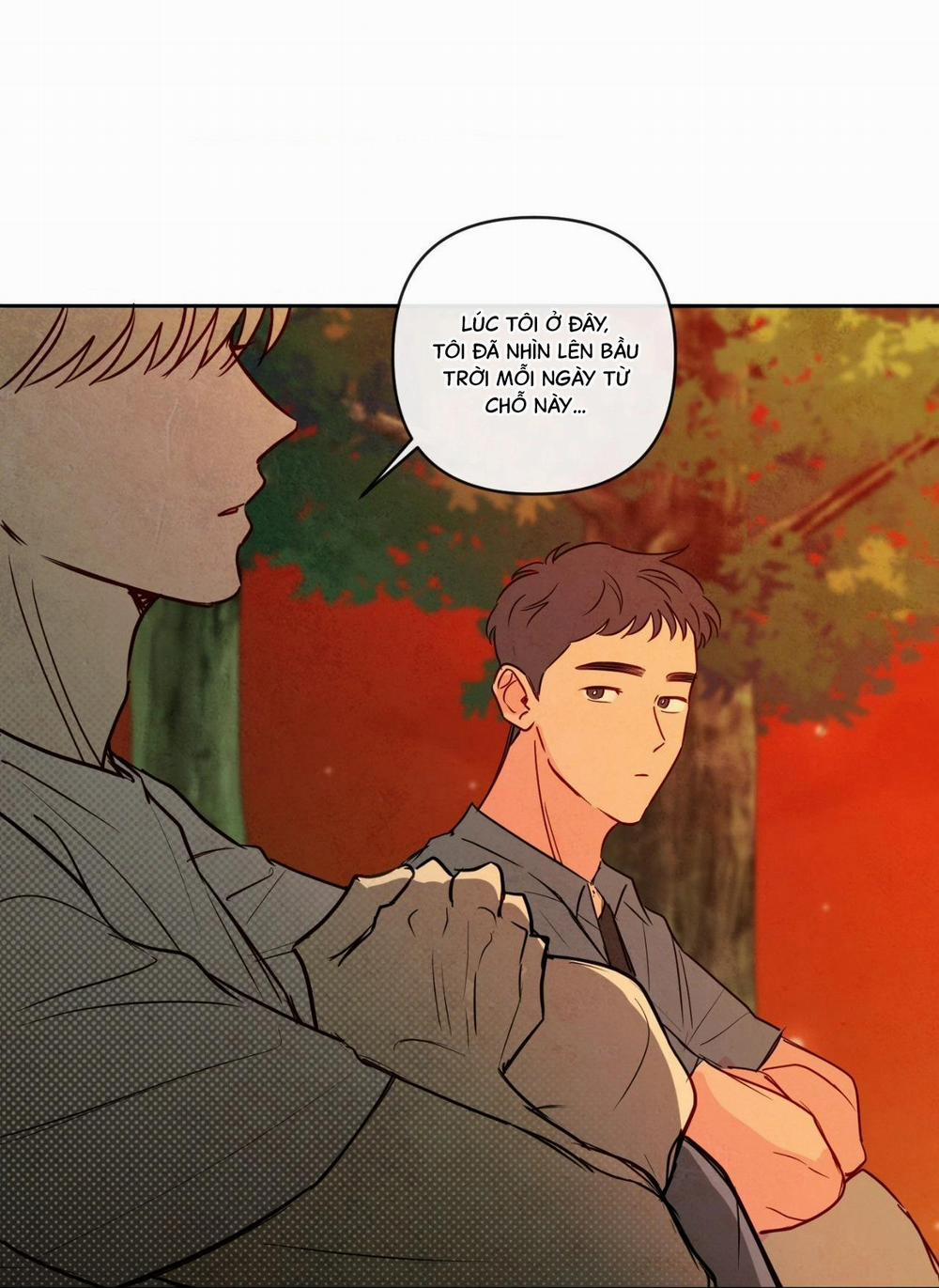 Sự Quyến Rũ Của Thần Rắn 16 trang 11