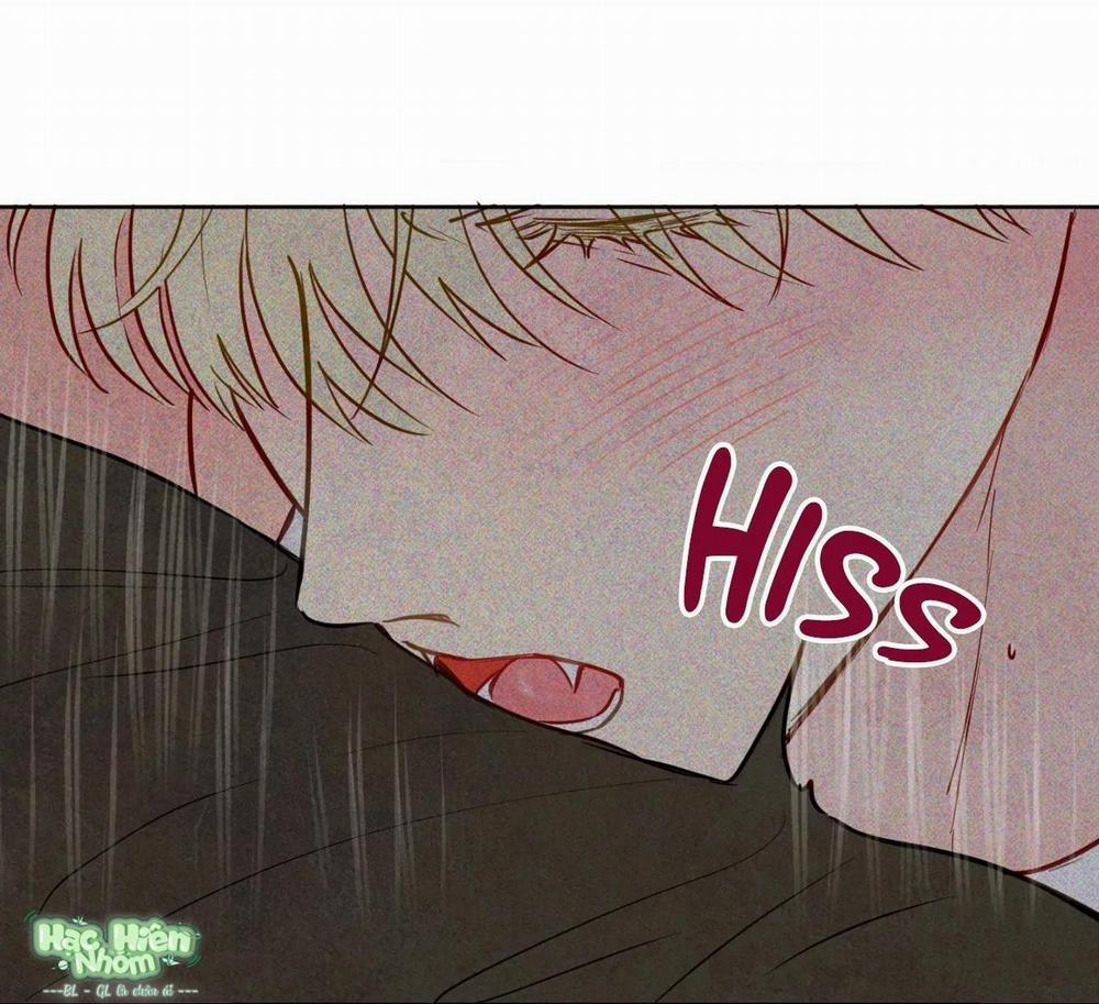 Sự Quyến Rũ Của Thần Rắn 19 trang 11