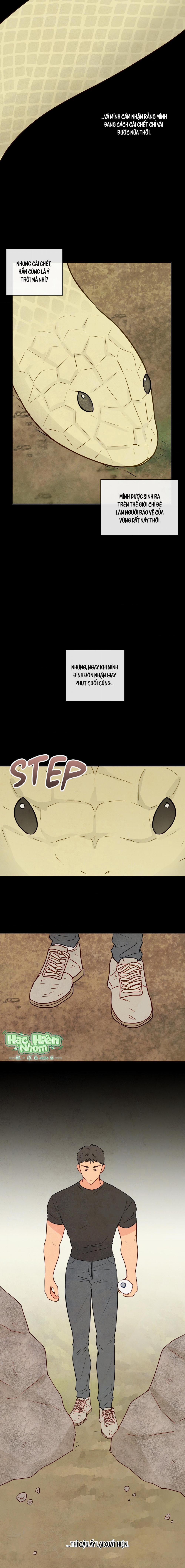 Sự Quyến Rũ Của Thần Rắn 2 trang 3