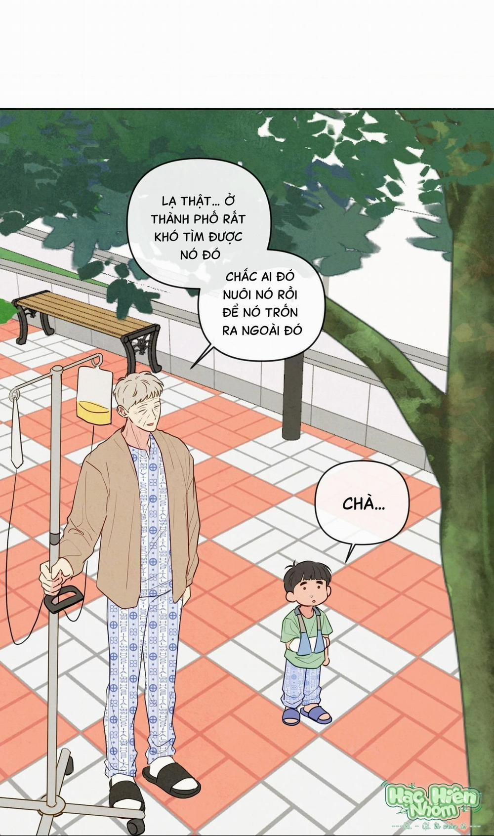 Sự Quyến Rũ Của Thần Rắn 20 trang 15