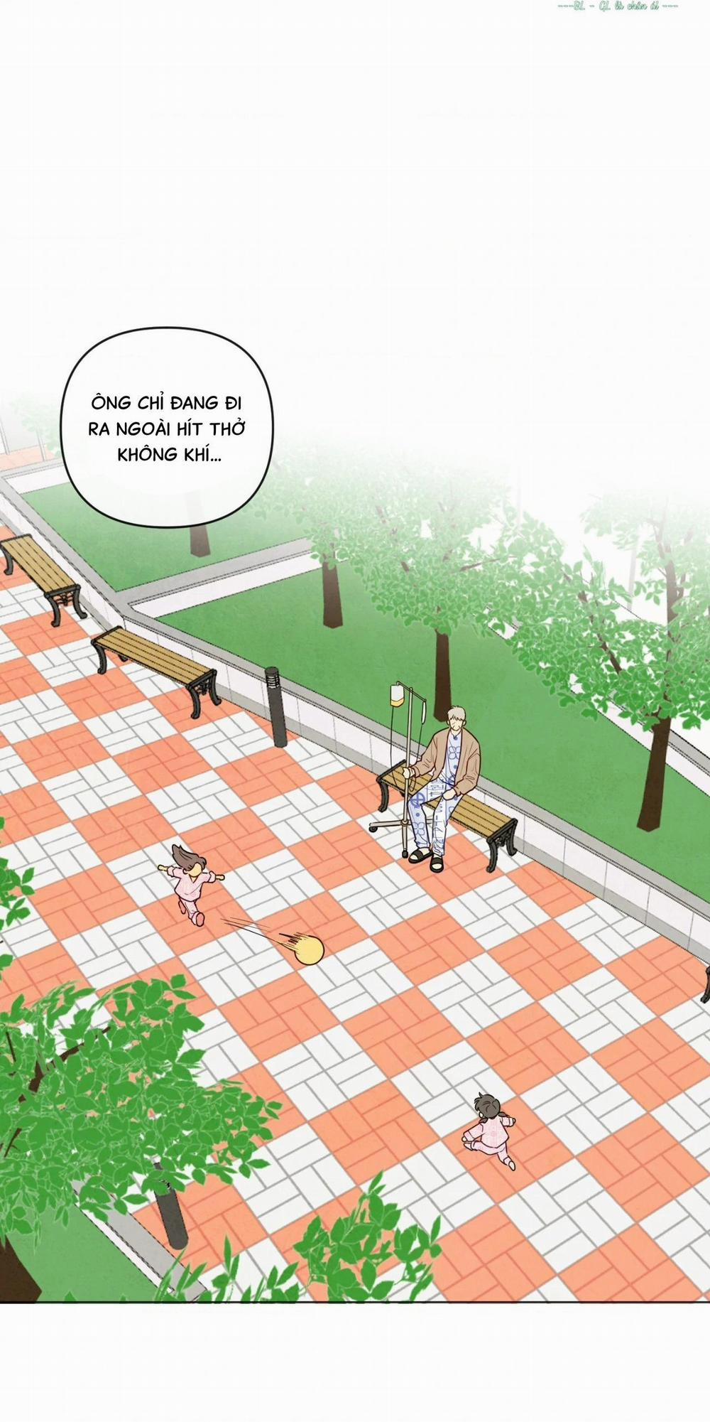 Sự Quyến Rũ Của Thần Rắn 20 trang 8