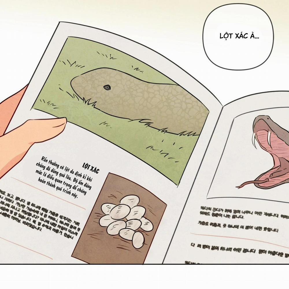 Sự Quyến Rũ Của Thần Rắn 22 trang 42